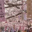 无锡旅游 缩略图 2