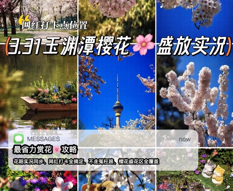 北京旅游 1