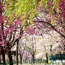 北京旅游 缩略图 7