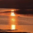 沈阳旅游 缩略图 5