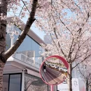 南京旅游 缩略图 2