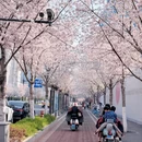 南京旅游 缩略图 4