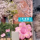 南京旅游 缩略图 5