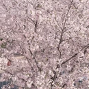 南京旅游 缩略图 3