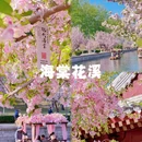 北京旅游 缩略图 2