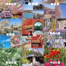 北京旅游 缩略图 1