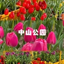 北京旅游 缩略图 8
