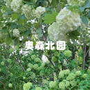 北京旅游 缩略图 9