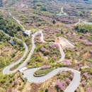 上海旅游 缩略图 13