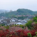 上海旅游 缩略图 15