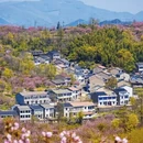 上海旅游 缩略图 10