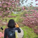 上海旅游 缩略图 16