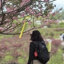 上海旅游 缩略图 17