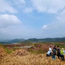 上海旅游 缩略图 14