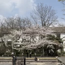 宁波旅游 缩略图 7