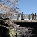 北京旅游 缩略图 1