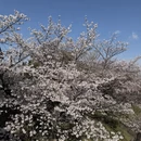 北京旅游 缩略图 2