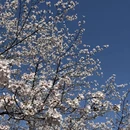 北京旅游 缩略图 4