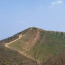 南京旅游 缩略图 12