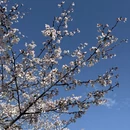 北京旅游 缩略图 6