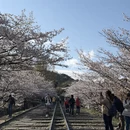 北京旅游 缩略图 9