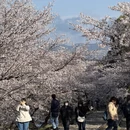 北京旅游 缩略图 8