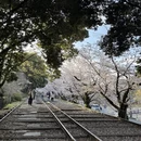 北京旅游 缩略图 11