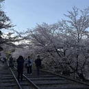 北京旅游 缩略图 10
