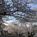 北京旅游 缩略图 13