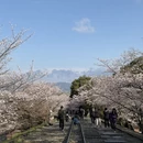 北京旅游 缩略图 7