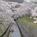 杭州旅游 缩略图 1