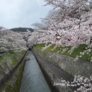 杭州旅游 缩略图 4