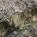 北京旅游 缩略图 14