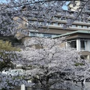 北京旅游 缩略图 12