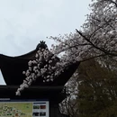 杭州旅游 缩略图 6