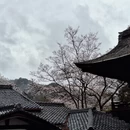 杭州旅游 缩略图 7