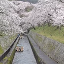 杭州旅游 缩略图 3