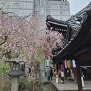 杭州旅游 缩略图 14