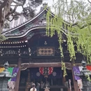 杭州旅游 缩略图 12