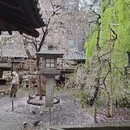 杭州旅游 缩略图 16
