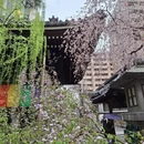 杭州旅游 缩略图 15