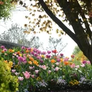 上海旅游 缩略图 16