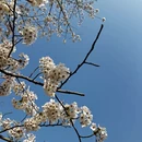 北京旅游 缩略图 5