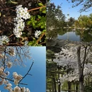 北京旅游 缩略图 1
