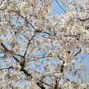 北京旅游 缩略图 4