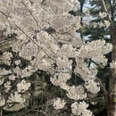 北京旅游 缩略图 8