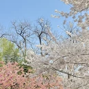 北京旅游 缩略图 7