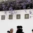 苏州旅游 缩略图 6