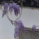 苏州旅游 缩略图 5