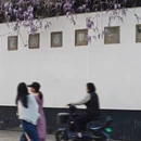 苏州旅游 缩略图 4